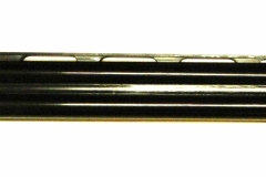 DSCN4602