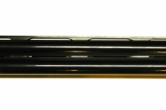 DSCN4598