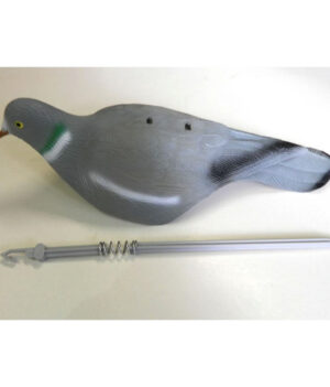 Pigeon Shell Decoy Pack (10)