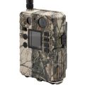 scoutguard-bg310_720x